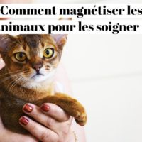 Magnétisme animalier : Comment magnétiser les animaux pour les soigner ?