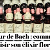 Fleur de Bach : comment choisir son élixir floral ?