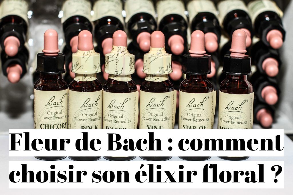 Fleur de Bach : comment choisir son élixir floral ?