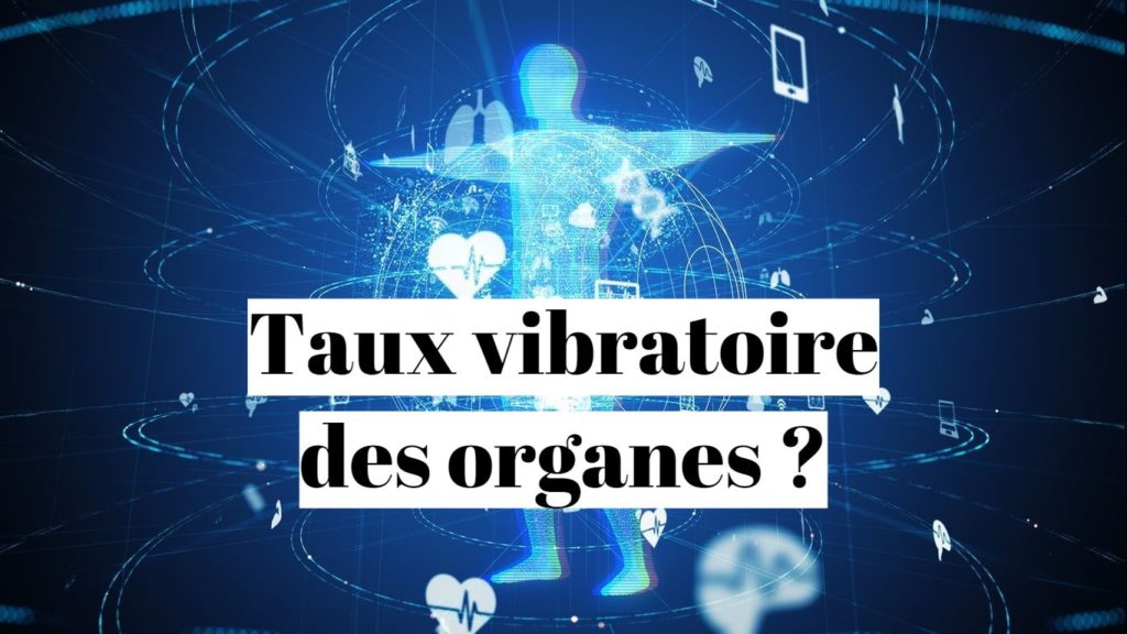 Fréquence vibratoire des organes (coeur, cerveau, foie) ?