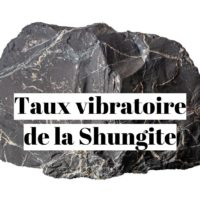 Taux vibratoire de la pierre shungite ?