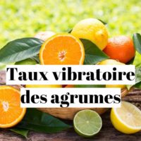 Taux vibratoire du citron et des agrumes ?