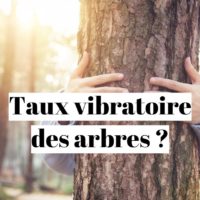 Taux vibratoire d’un arbre : quel arbre donne de l’énergie ?