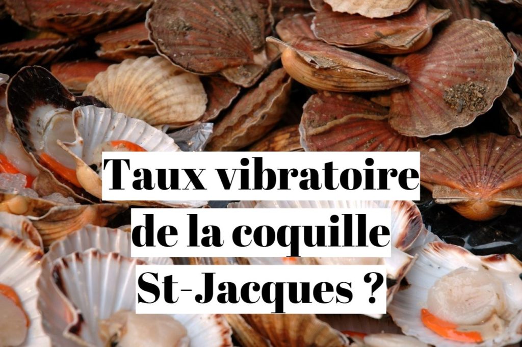 Taux vibratoire d’une coquille saint jacques ?