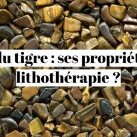 Œil du tigre : quelles sont ses propriétés en lithothérapie ?